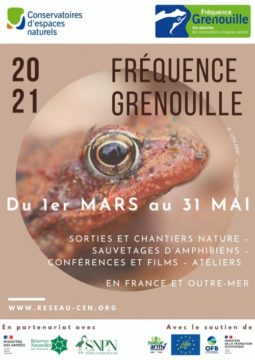 Fréquence Grenouilles 2021